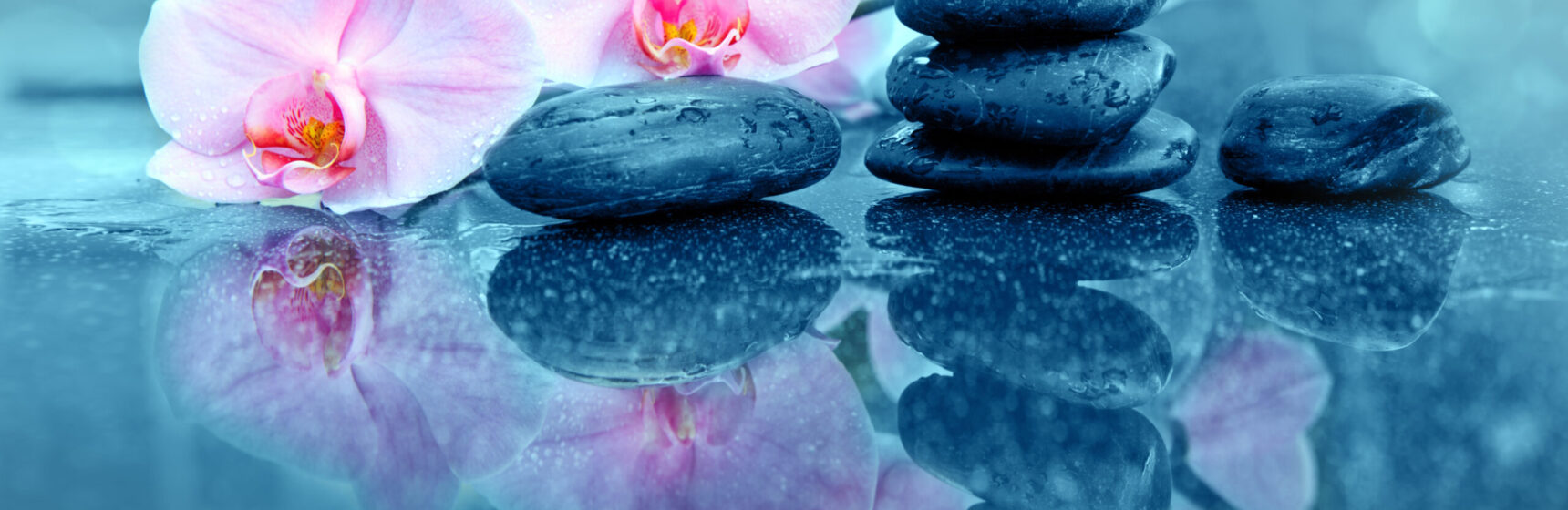 Pink orchids flowers and spa stones . Spa background.
