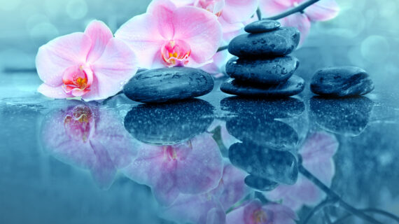 Pink orchids flowers and spa stones . Spa background.