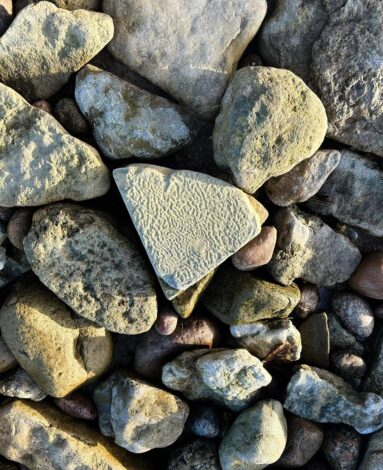 Processed with Lensa with PT2 filter