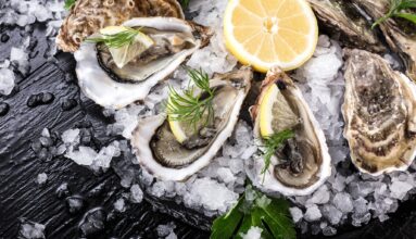 497509838_1274202811375843_4768898278771481634_n