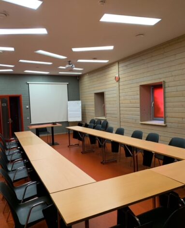 Processed with Lensa with PT2 filter