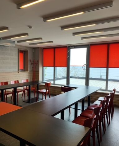 Processed with Lensa with PT2 filter